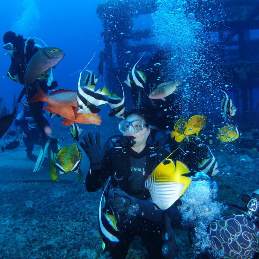 Green Island Ocean Rhythem Dive B&B 綠島海韻民宿 Extérieur photo